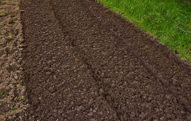 Preparing field for the planting season