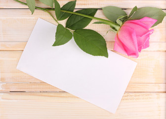Beautiful rose on wooden background