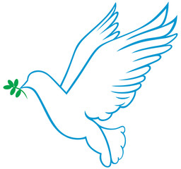 Obraz premium Vector dove symbol