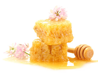 golden honeycombs, wildflowers and wooden drizzler with honey