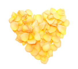 beautiful heart of orange rose