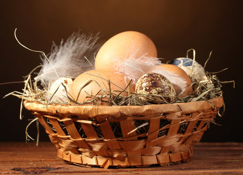 chicken and quail eggs in a nest