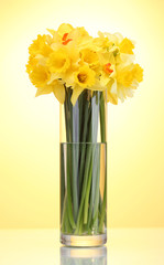 beautiful yellow daffodils in transparent vase