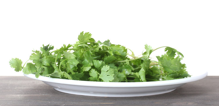 Coriander in a white plate on wooden
