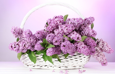 beautiful lilac flowers in basket on purple background