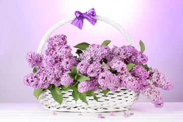 beautiful lilac flowers in basket on purple background