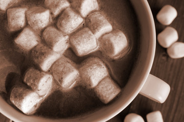 Fototapeta na wymiar Gorąca czekolada z marshmallow