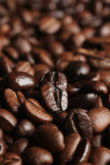 Fototapeta premium Coffee beans close up