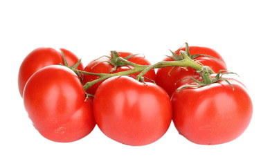 Fresh tomatoes on branch isolated on white