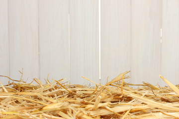 The golden straw against the white barn
