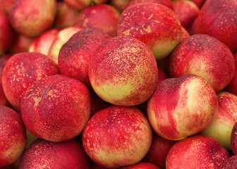 Nectarines