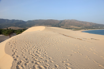 Dune at the Punta Paloma in Andalusia, Spain