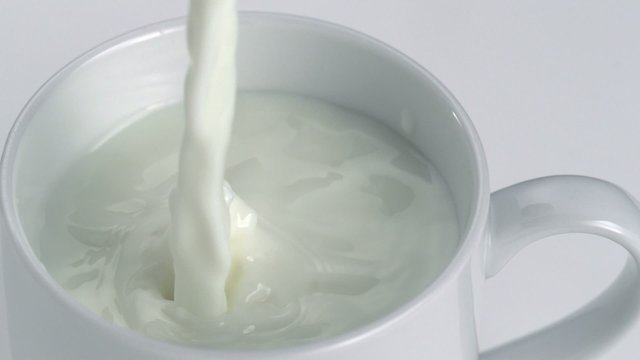 Pouring milk into cup, Slow Motion