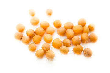 イエローマスタード