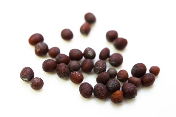 ブラウンマスタード