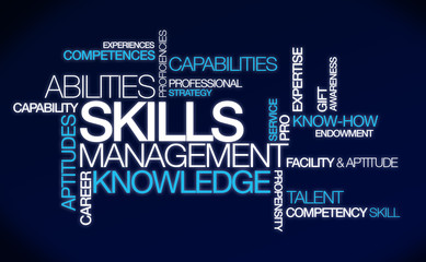 Skills management knowledge ability tag cloud illustration