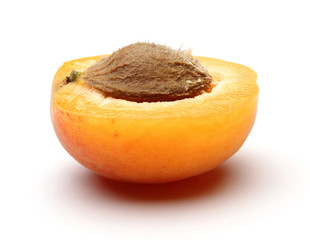 apricot half