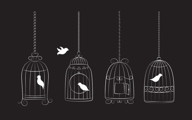 Vögel in Käfigen
