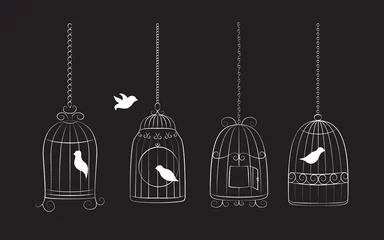 Foto auf Acrylglas Vögel in Käfigen Vögel in Käfigen
