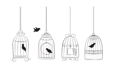 Foto auf Acrylglas Vögel in Käfigen Vögel in Käfigen