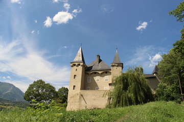 Fototapeta na wymiar Chateau de Conflans