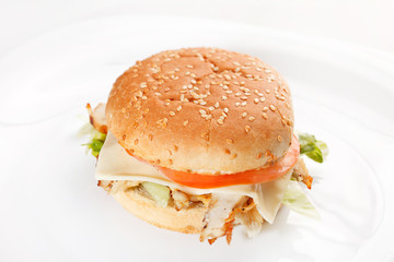 burger on the white