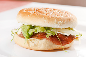 burger on the white
