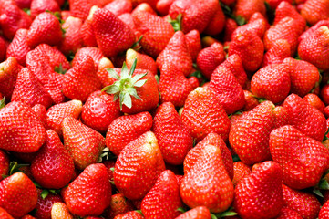 strawberries