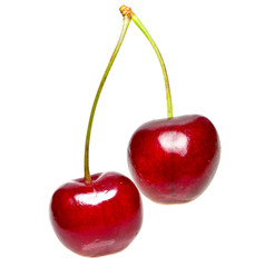 Sweet cherry on a white background