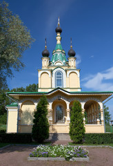 Fototapeta na wymiar Church .All grieving pleasure. Russia. Petersburg.
