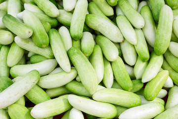 Cucumbers bunched together for sale at market