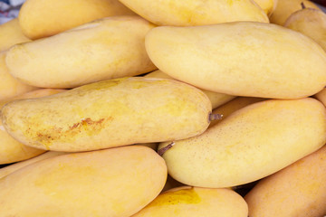 Selling yellow mango in market