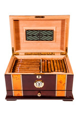 Cigars in humidor