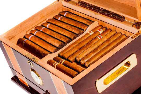 Cigars In Humidor