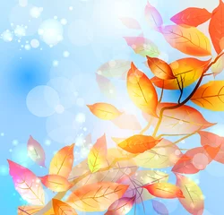 Tuinposter autumn background © blina