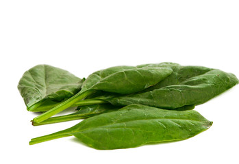 Fresh spinach with water drops