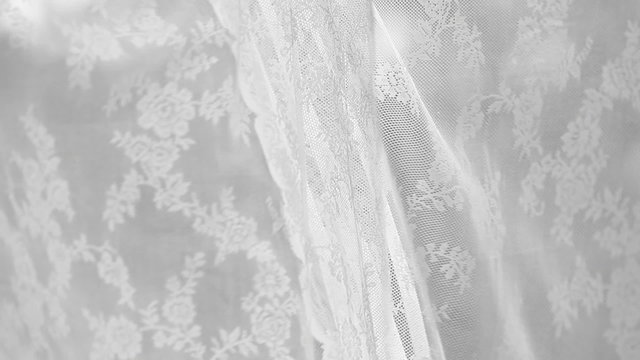 Lace curtain
