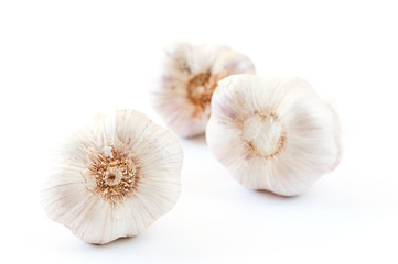 Garlic bulbs