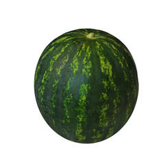 watermelon isolated