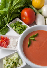 Gazpacho and ingredients