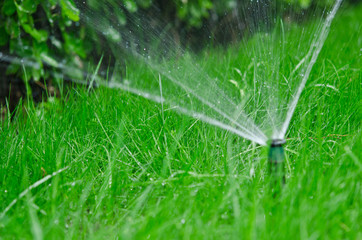 sprinkler