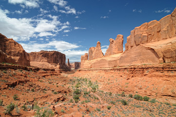 Fototapeta premium Aleja parkowa