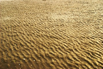 Meeresboden bei Niedrigwasser