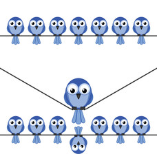 Overweight bird sat on a wire