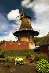 Obraz premium Typisch historische Windmühle in Ostfriesland