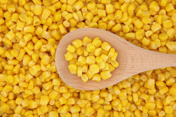 Sweet Corn