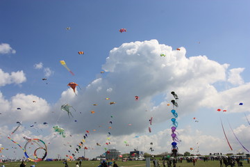 Drachenfest in Norddeich