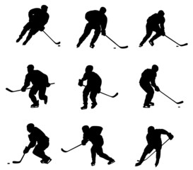 Obraz premium Hockey player