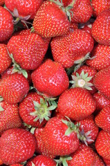 Fresh strawberries eco natural food