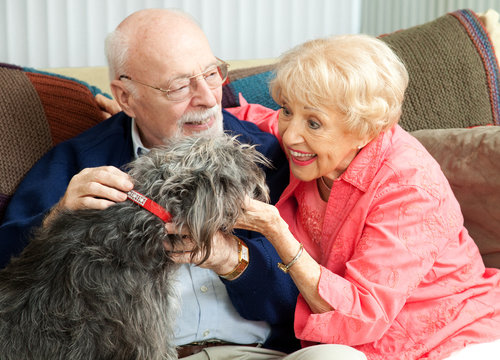 Seniors at Home with Their Dog